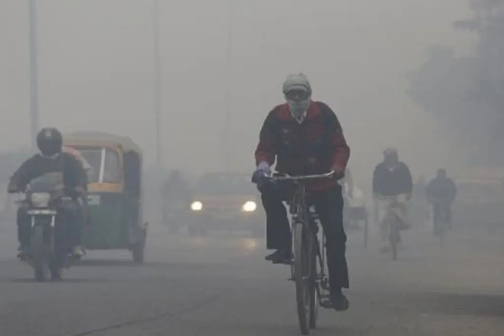 Weather Update, Delhi NCR Fog, Weather