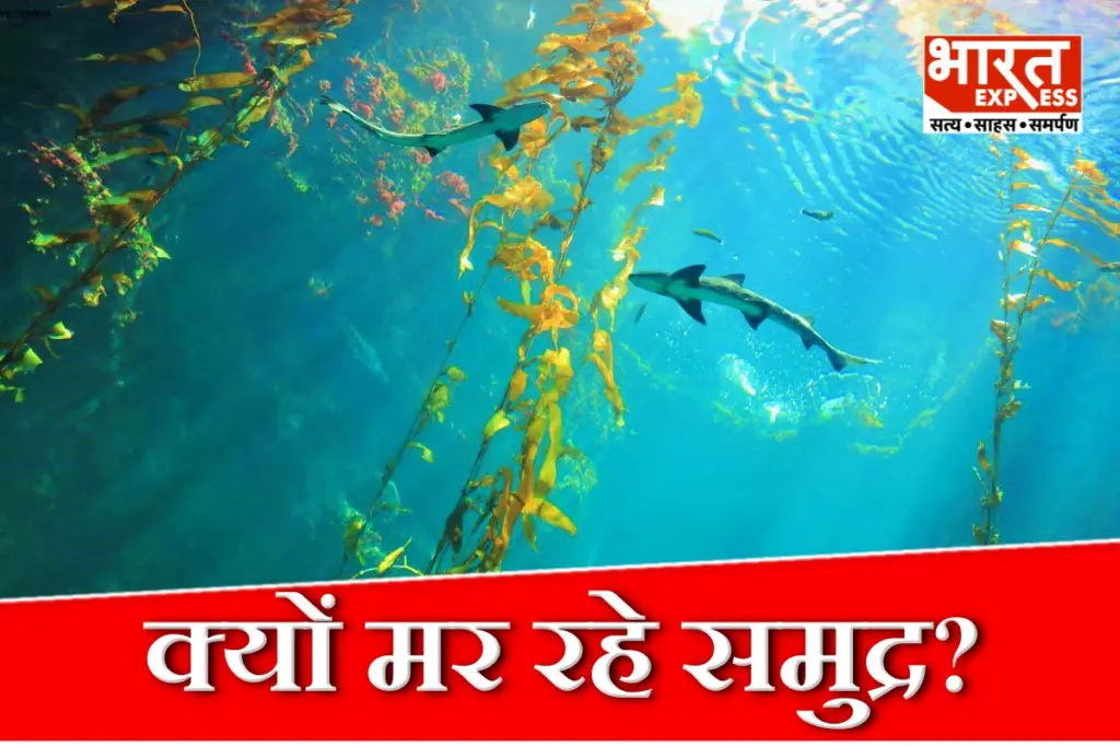 Climate Change Effect Oceans