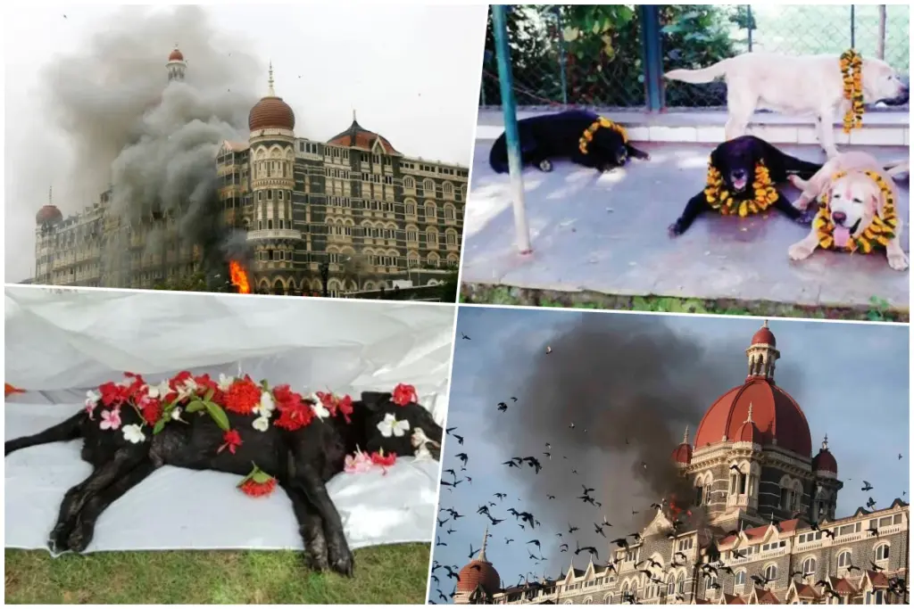 Mumbai Attack
