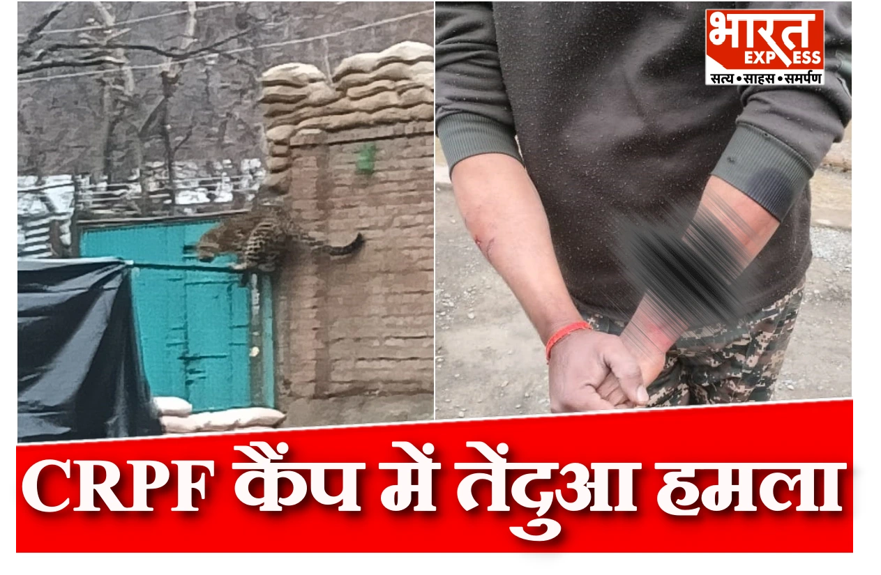 अनंतनाग में CRPF कैंप में तेंदुआ घुसा, जवान घायल