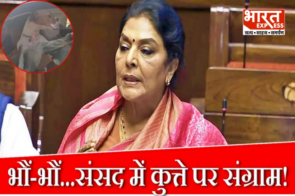 Dog In Parliament