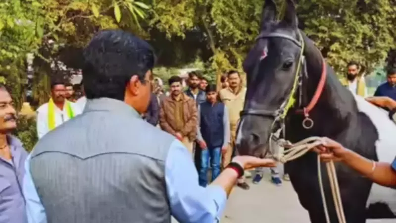 Raja Bhaiya Horse In Social Media