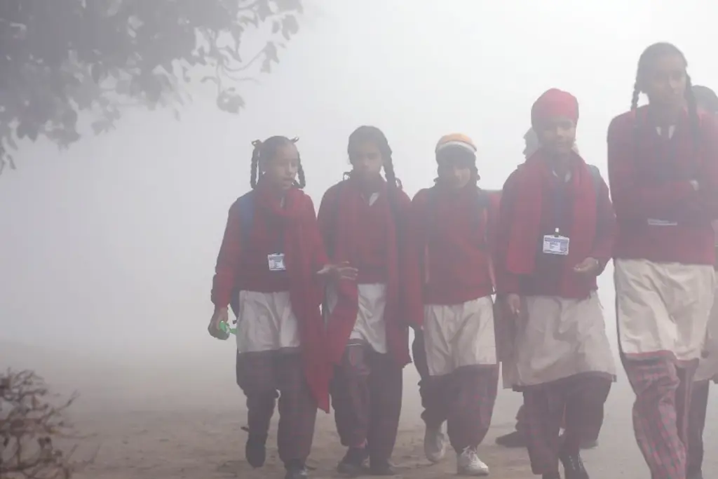 UP Winter Vacation 2025