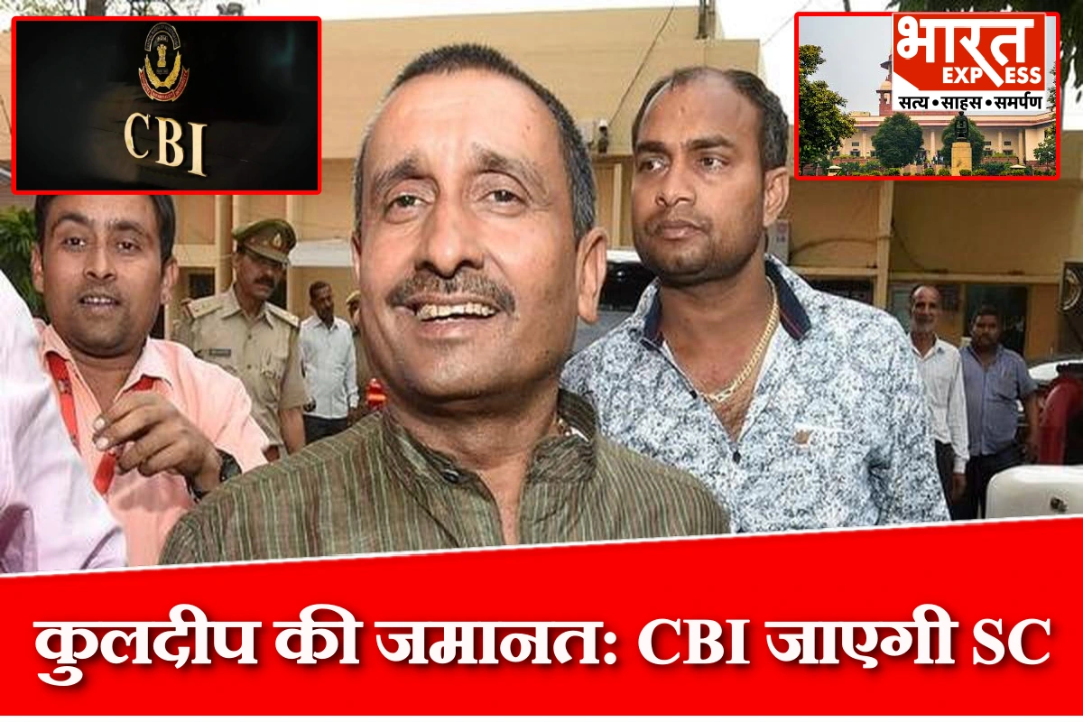 उन्नाव रेप केस मामले में आरोपी कुलदीप सेंगर को दिल्ली HC से मिली जमानत, CBI सुप्रीम कोर्ट जाएगी