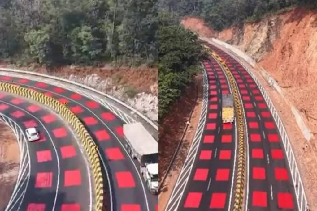 Wildlife Safe Road, NHAI