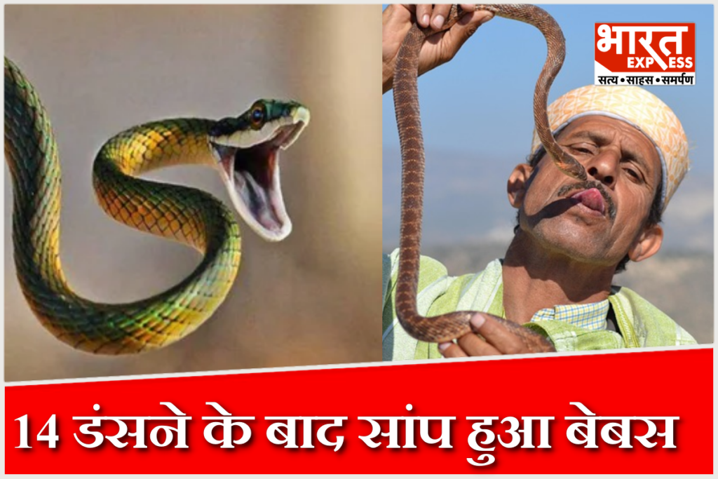 up-man-survives-14-snake-bites