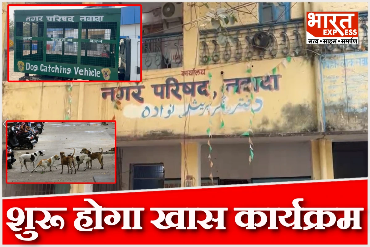 नवादा बना बिहार का पहला जिला, आवारा कुत्तों की देखभाल और टीकाकरण के लिए शुरू होगा खास कार्यक्रम