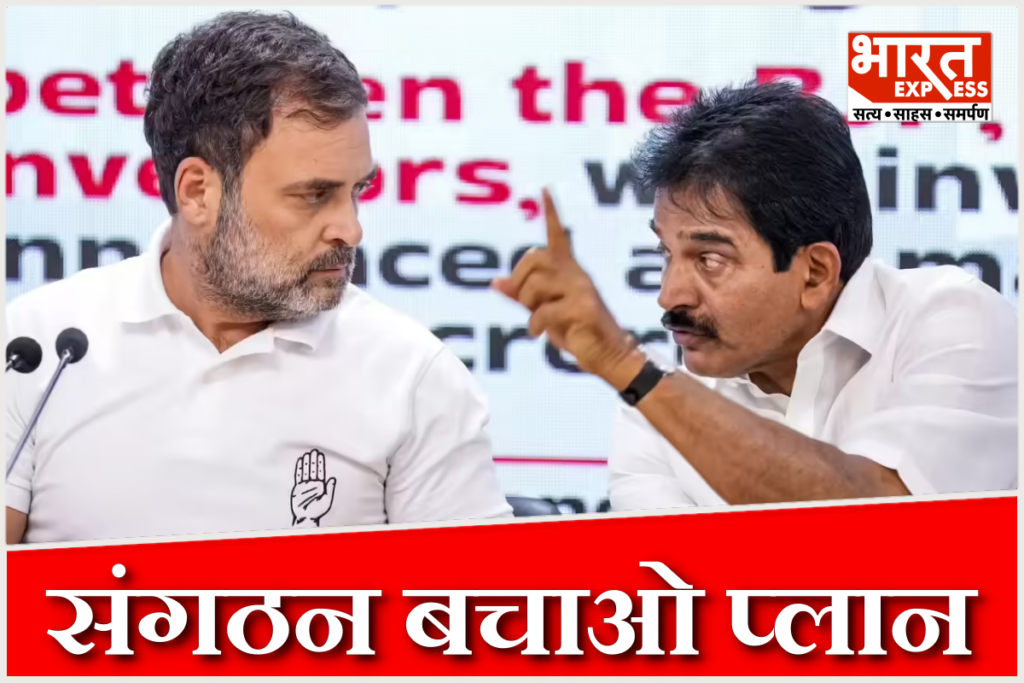 Congress INC
