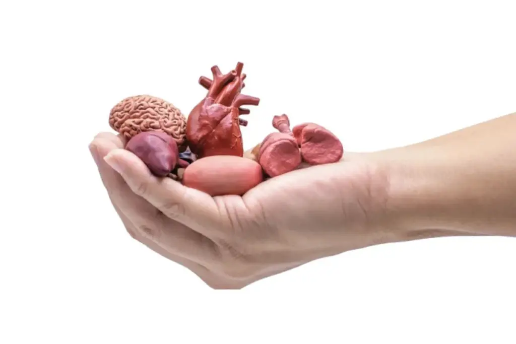 Durg News, Body Donation