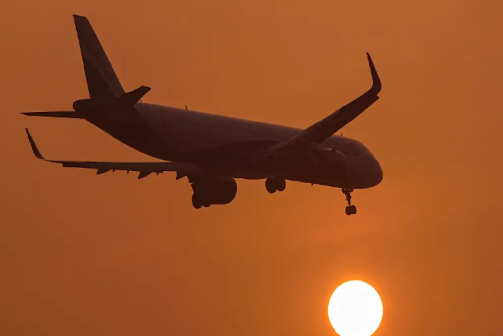 Iran airspace closure, Travel Advisory