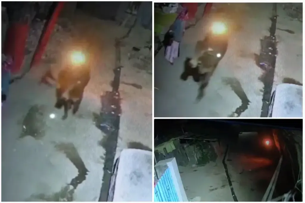 Pali Beawar News, Raipur Thana Area, Animal cruelty