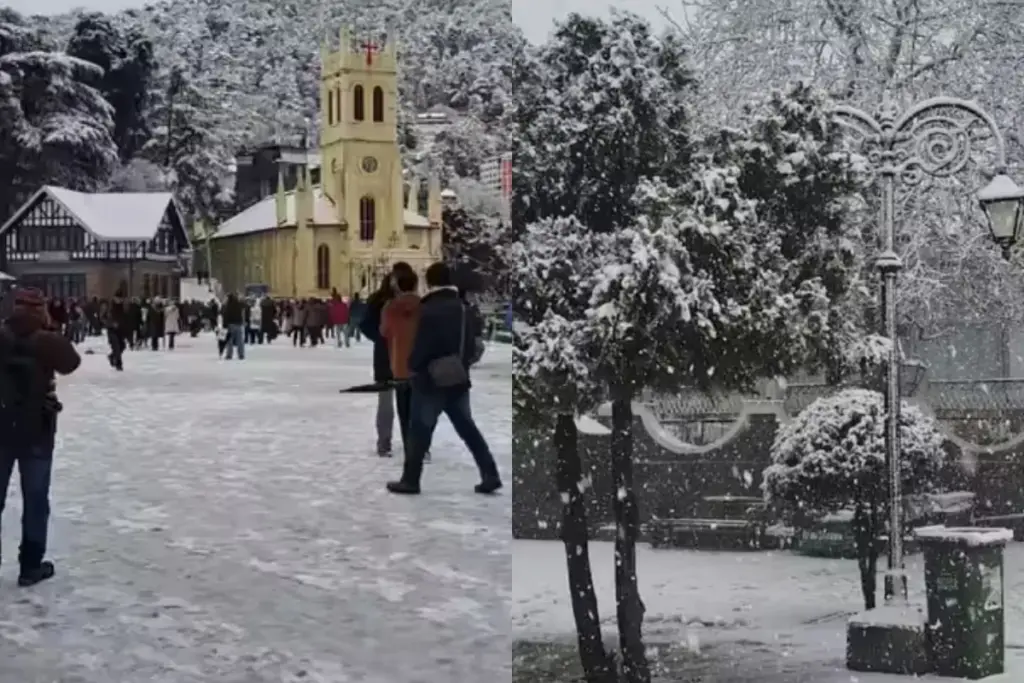 Shimla Snowfall, Himachal Weather Update, Shimla First Snowfall