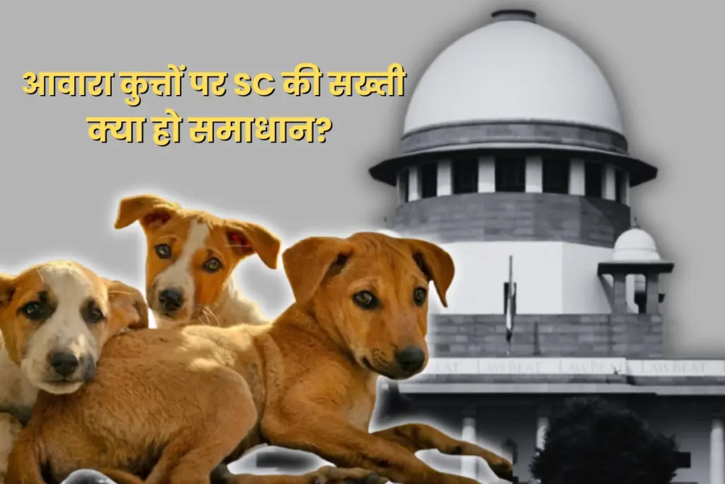 Supreme Court Strict Order on Stray Dogs