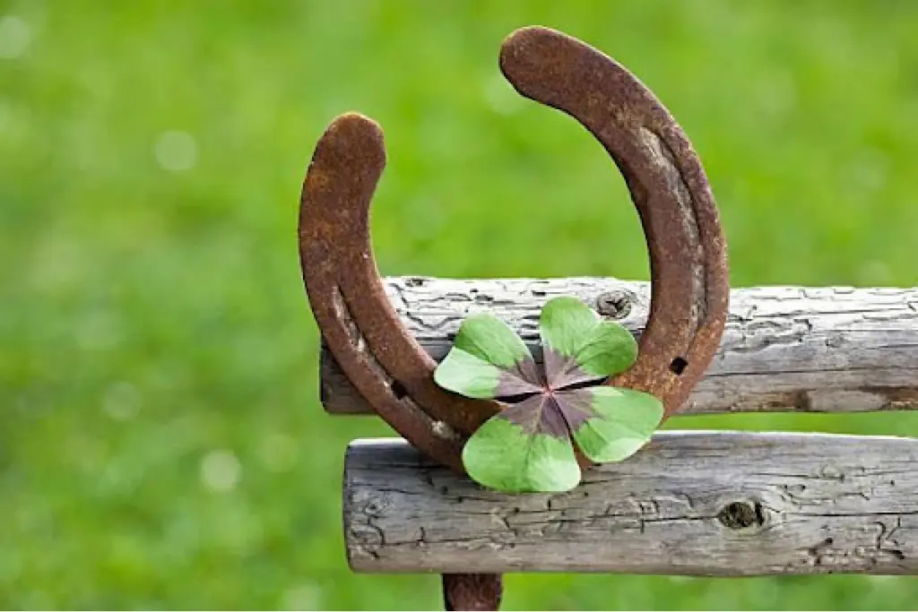 Vastu Shastra Horseshoe