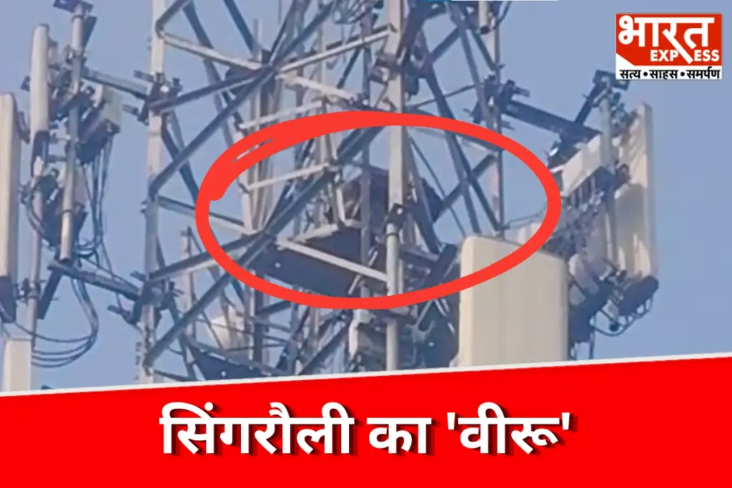 Singrauli ke Veeru ajab gajab