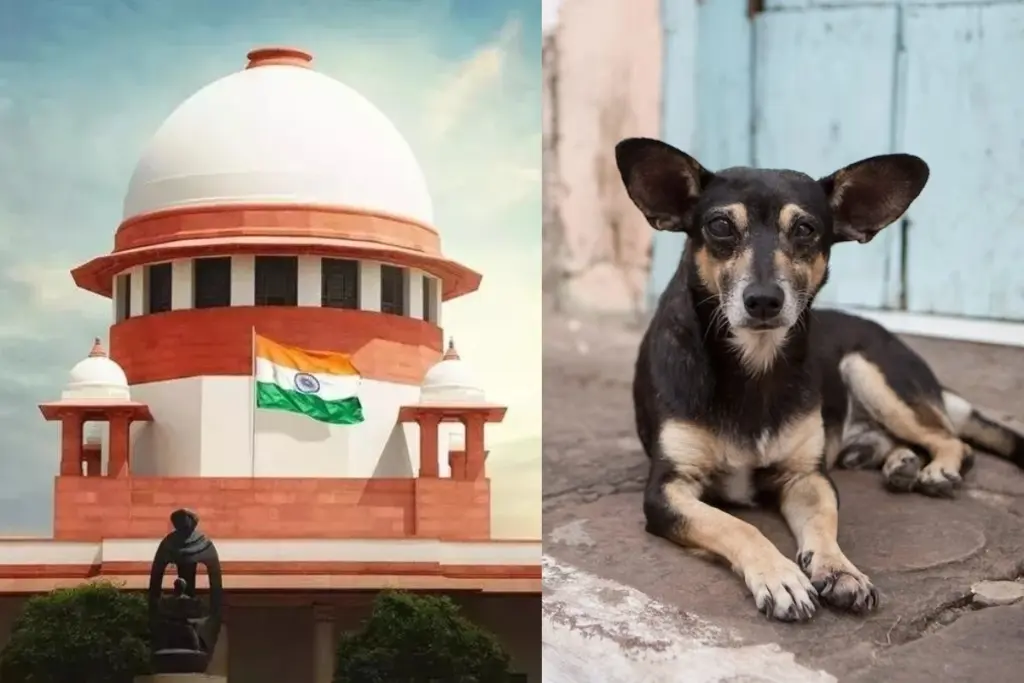 Supreme Court stray dog hearing