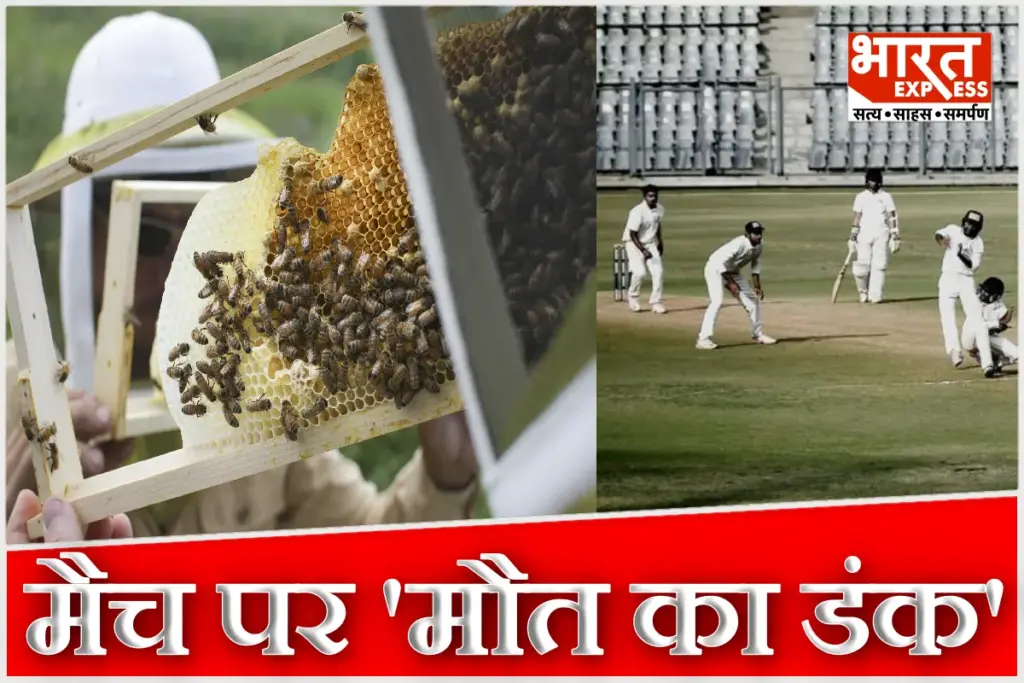 Bee Attack During Cricket In Unnao