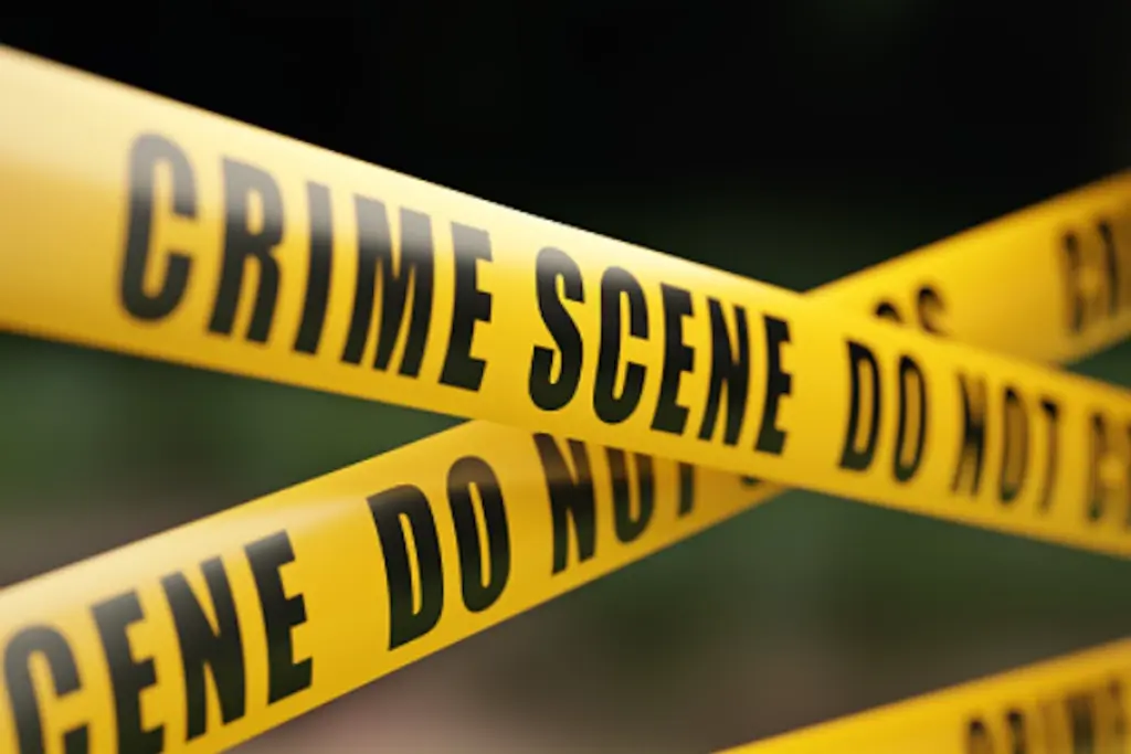 Crime News