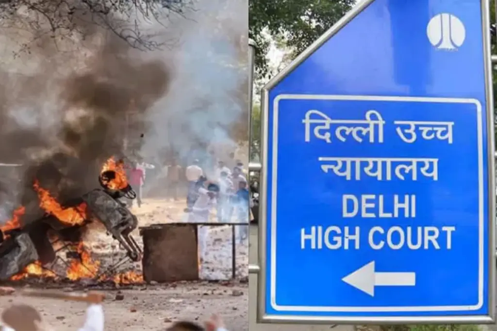 Delhi Riots Case, Delhi High Court