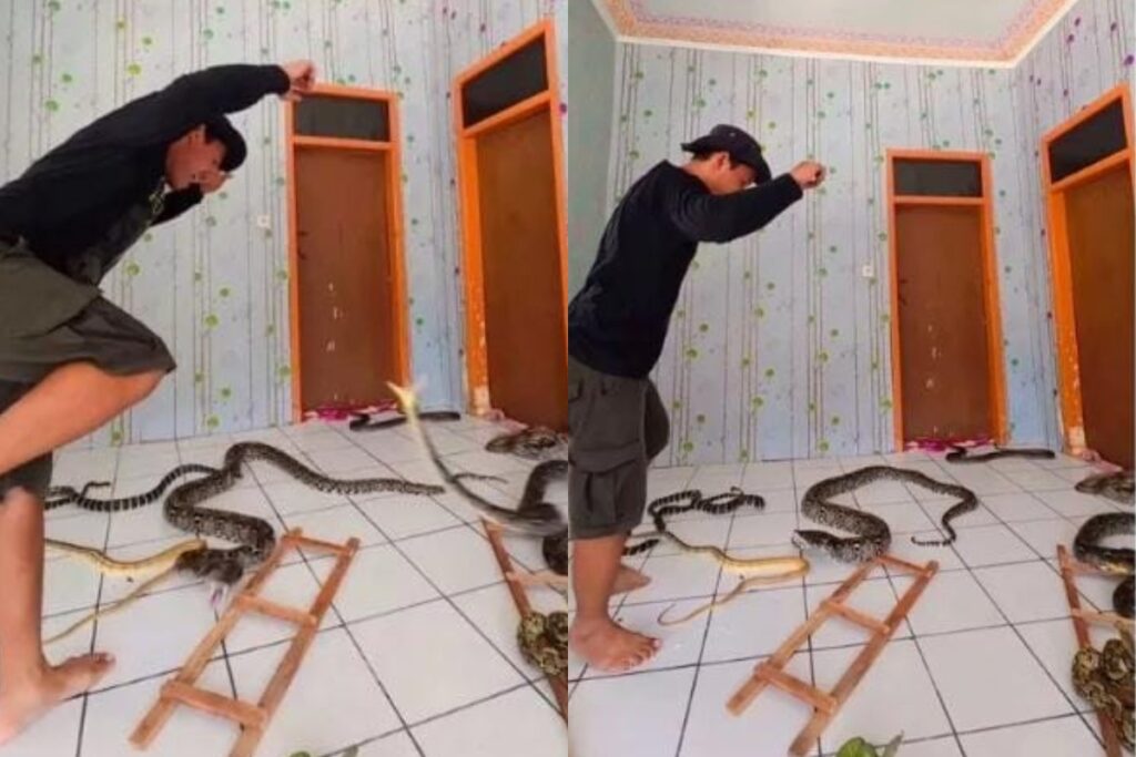 Instagram Viral Video Image