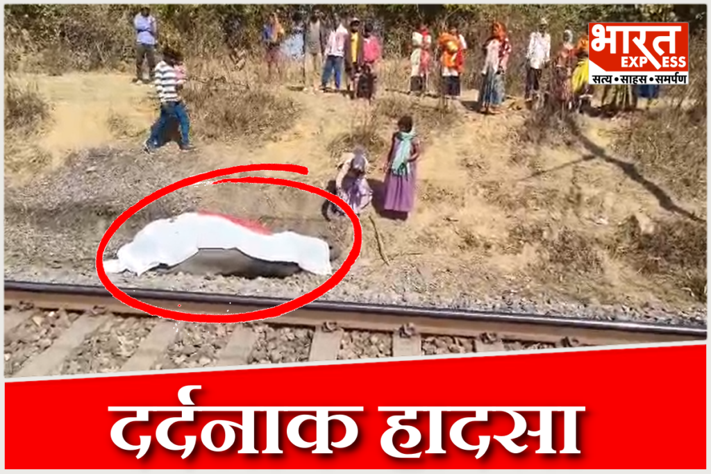 Elephant Calf Death