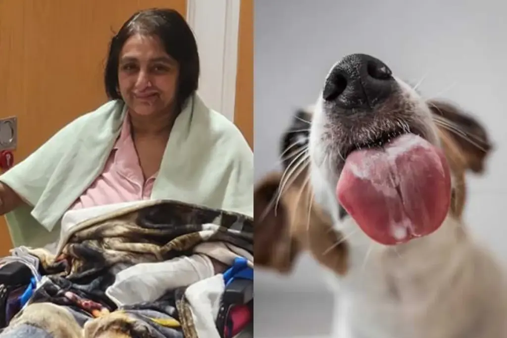 Manjit Sangha, Sepsis, Dog Lick Infection