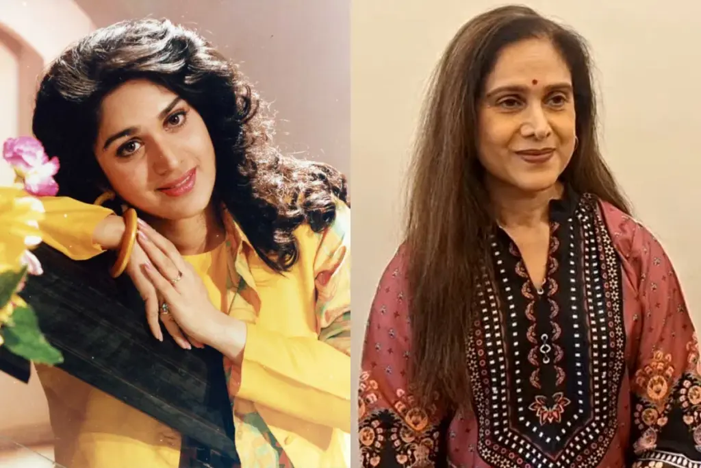 Meenakshi Seshadri, Bollywood