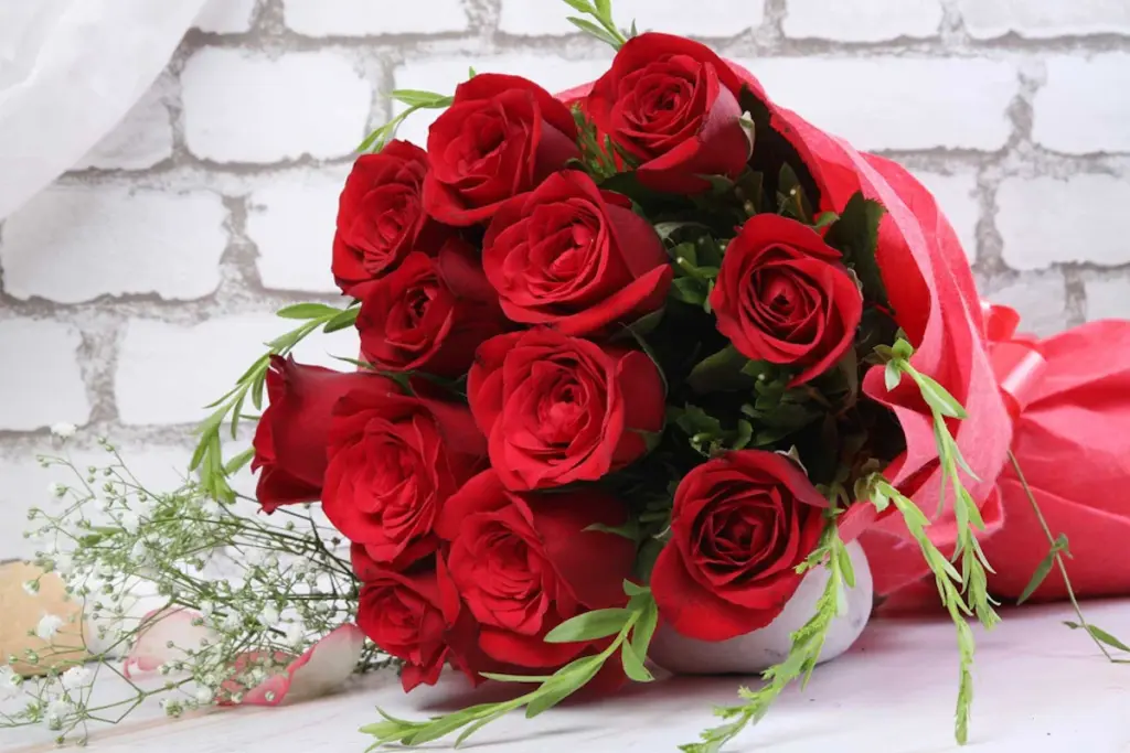 Rose Day Special Shayari, Valentines Week, Rose Day