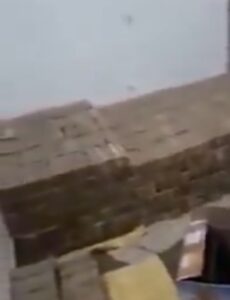 fact check BSF Commander 96 Crore viral video