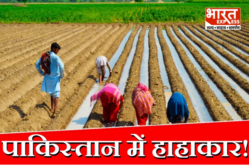 Pakistan Fertilizer Crisis