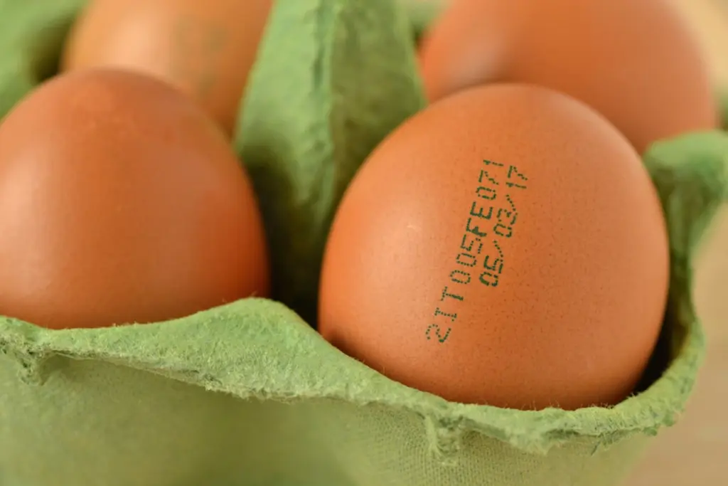 UP Egg News, Yogi Adityanath, Uttar Pradesh