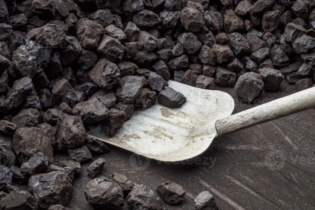 coal-scam-vijay-darda-hc-gupta-acquitted-rouse-avenue-court-judgment