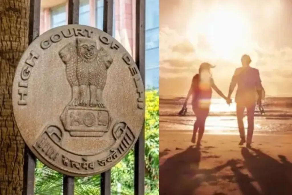 Delhi High Court on Live-in Relationship