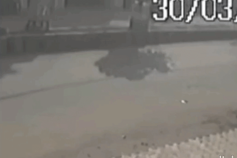 Begusarai Volleyball Player Shot
