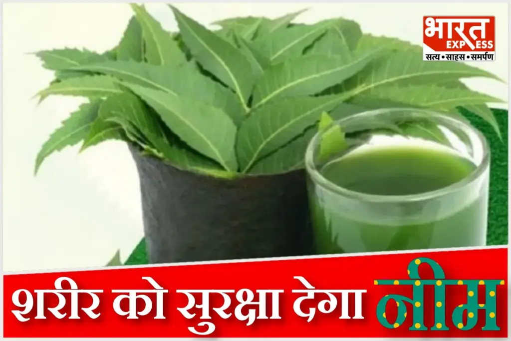 Neem benefits for liver