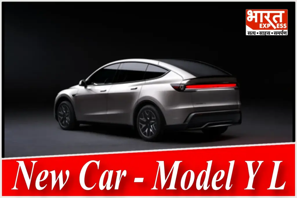 New Car Model Y L
