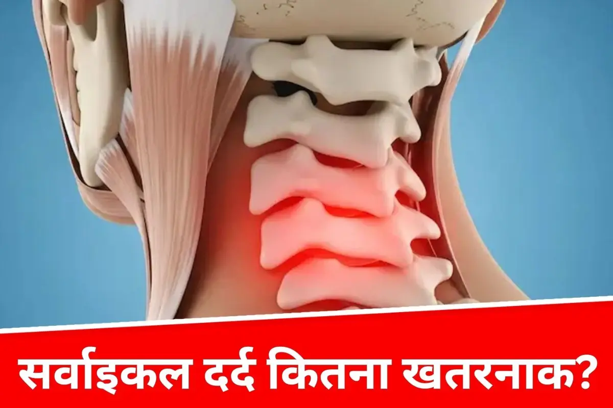 लंबे समय तक बैठकर काम करने वालों में बढ़ रहा गर्दन का दर्द, क्या दिमाग तक हो सकता है असर?