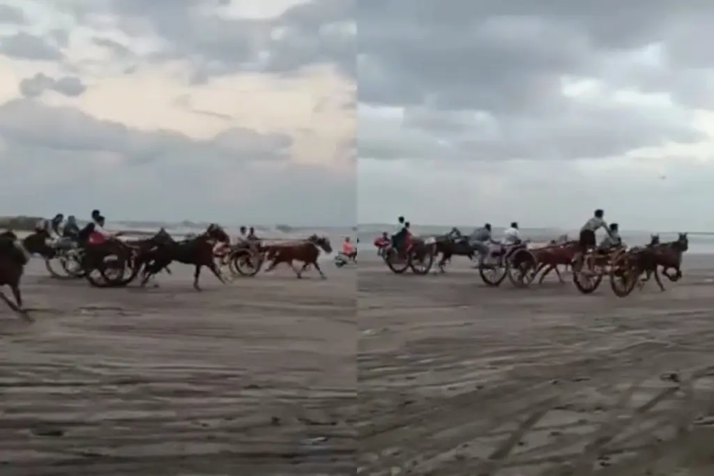 mumbai-gorai-illegal-horse-bullock-cart-race-police-complaint-betting-angle