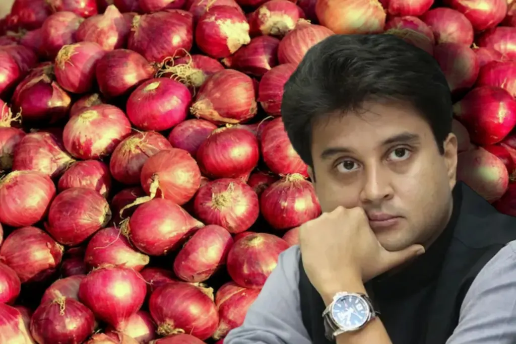 scindia-desi-nuskha-onion-heatwave-protection-science-ayurveda