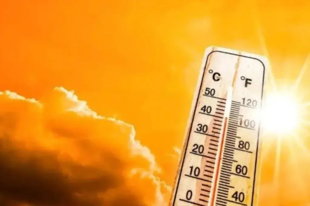 weather-update-25-april-heatwave-delhi-up-mp-jharkhand-rain-alert