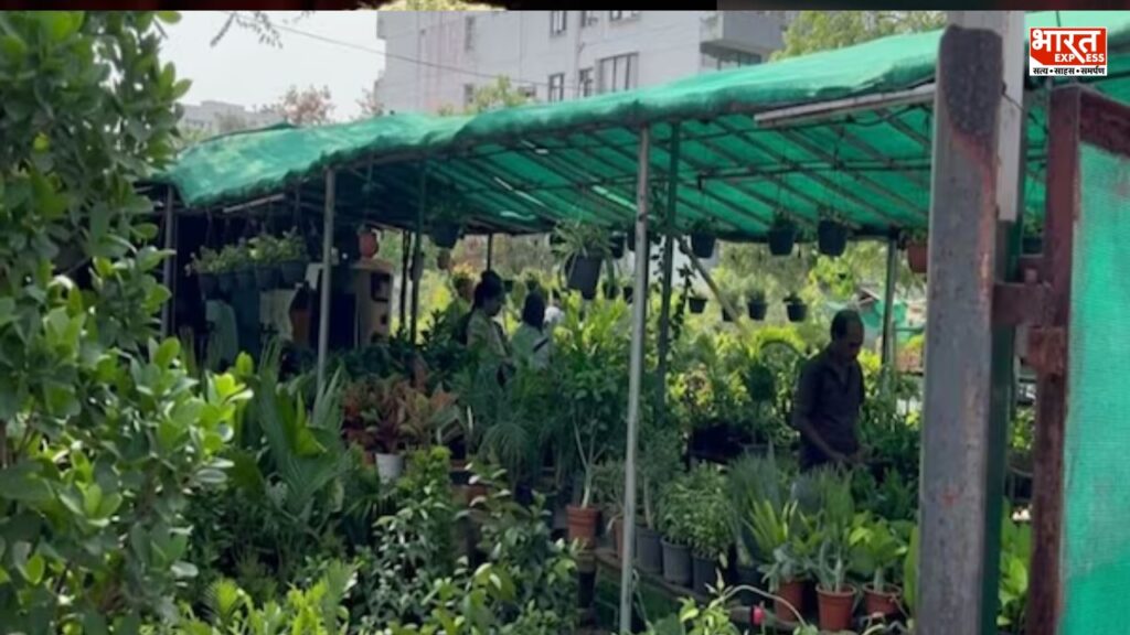 Ghaziabad Nursery Matter