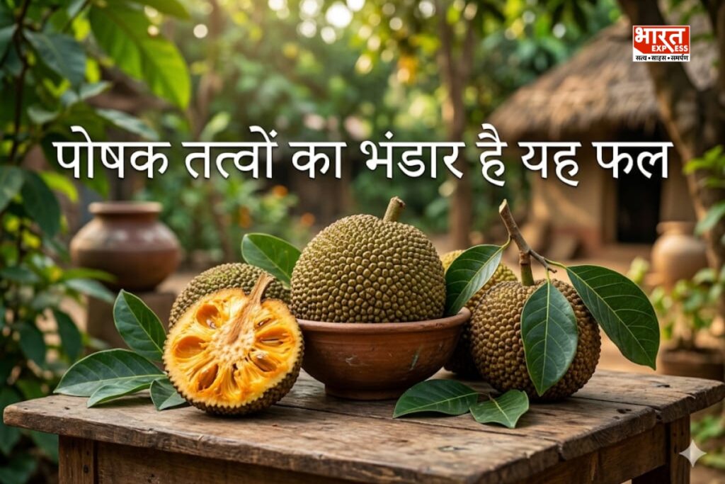 पोषक तत्वों से भरपूर है यह फल