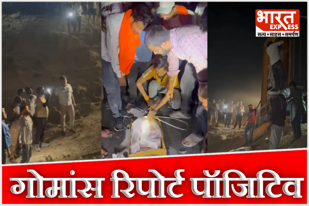 Dausa meat smuggling case