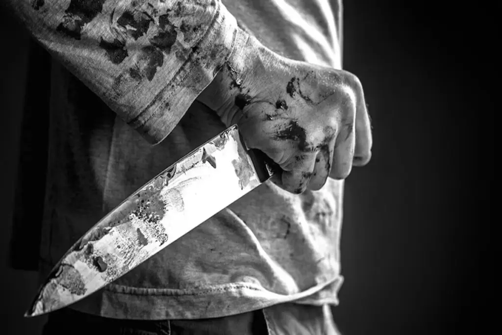 Delhi Crime News, Sarai Rohilla Murder, Double Murder