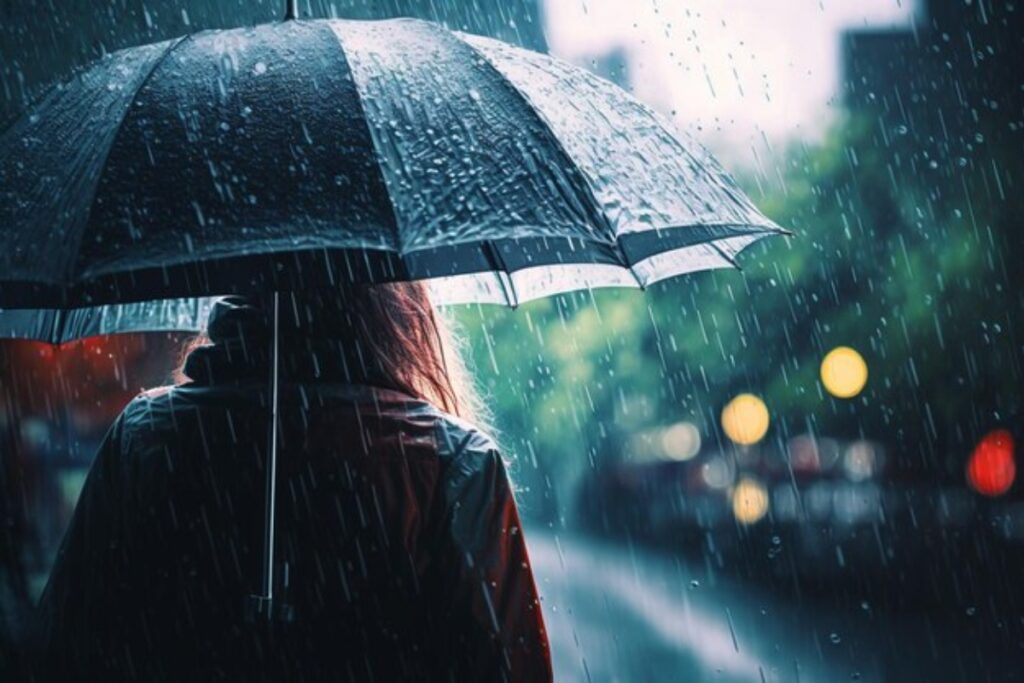 Delhi-NCR Rain