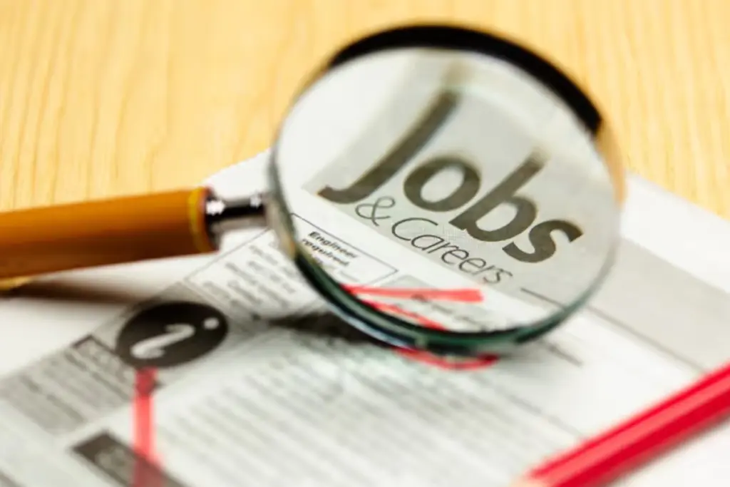 Government Jobs, 12th Pass Career, Career Options