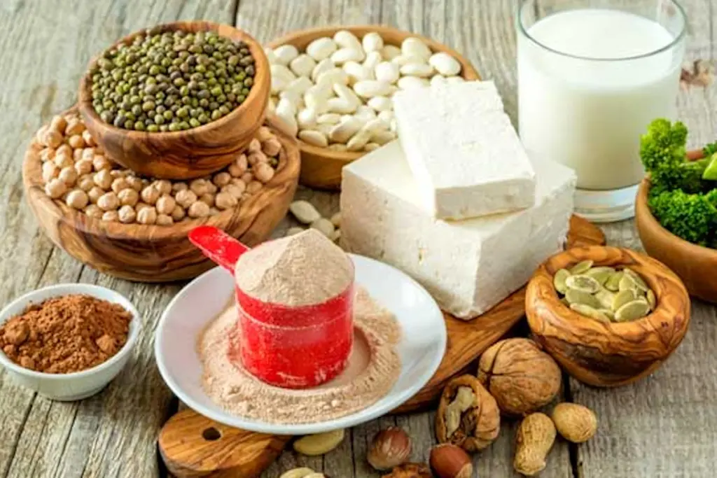 High Protein Recipes, Fitness Tips