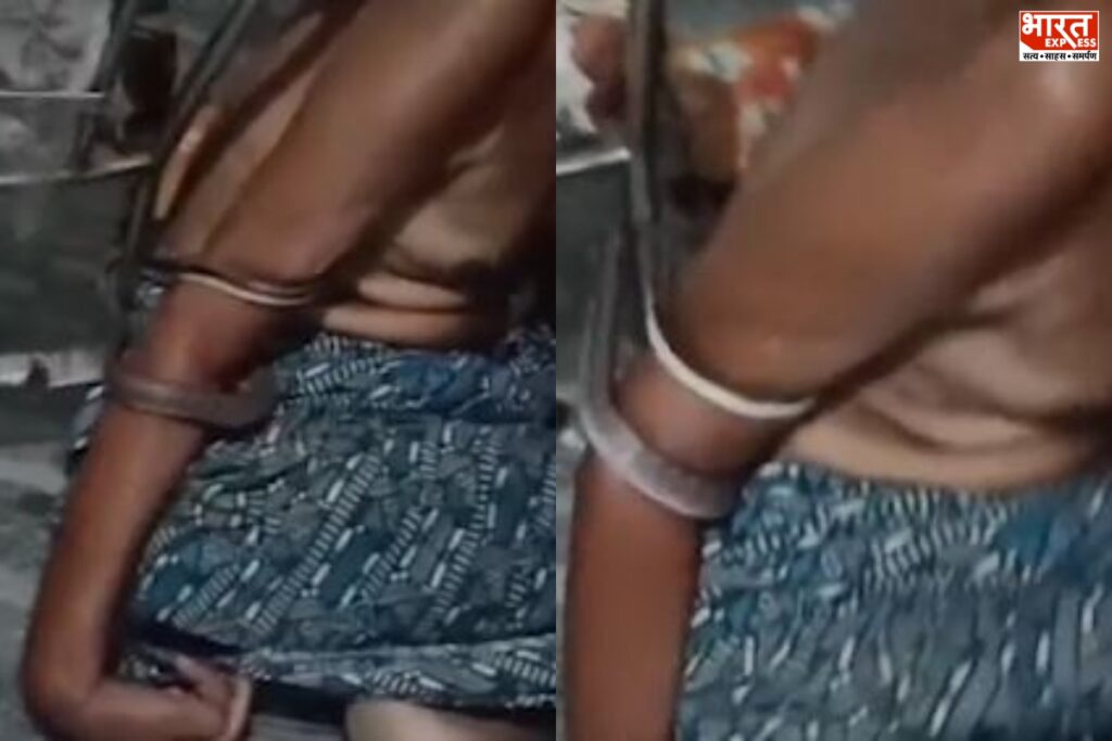 Odisha Snake Incident Image