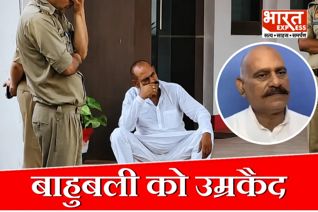 Prayagraj Crime News