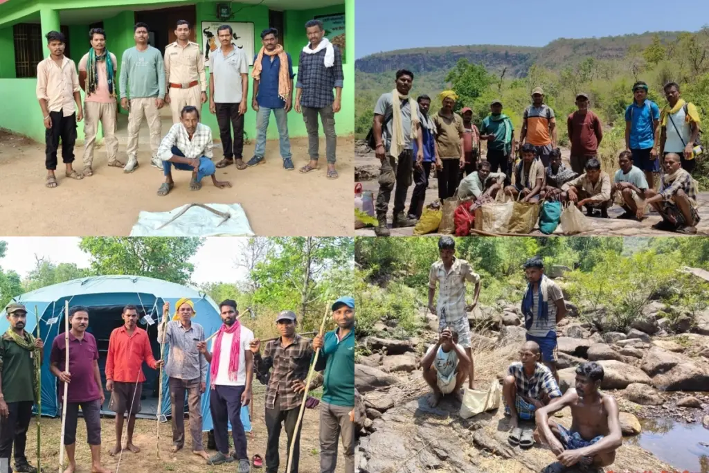 Tiger Poaching Attempt Failed in Udanti Sitanadi 7 Hunters from Odisha Arrested with Poison